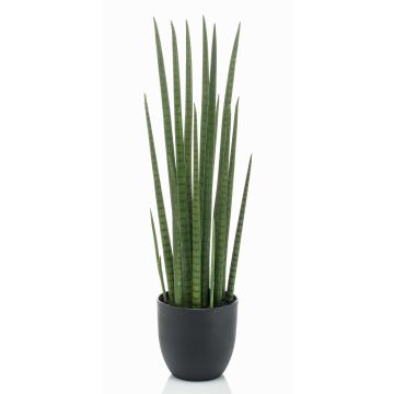 Sansevieria Cylindrica artificiale KICHIRO in vaso decorativo, verde, 70cm