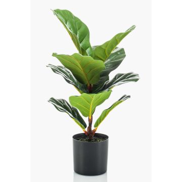 Ficus Lyrata artificiale EMILIANA, verde, 55cm Ficus Lyrata artificiale EMILIANA, verde, 55cm