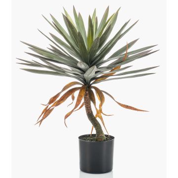 Yucca artificiale KOUKI, 75cm Yucca artificiale KOUKI, 75cm