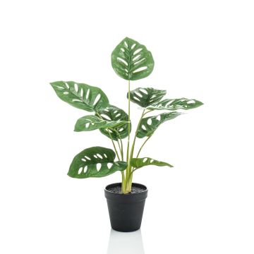 Filodendro artificiale Monstera Deliciosa VIRGA, 45cm