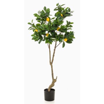 Albero di limone artificiale MAKOTO, tronco artificiale, con frutti, 150cm