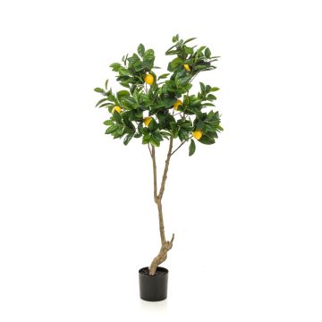 Albero di limone artificiale MAKOTO, tronco artificiale, con frutti, 150cm