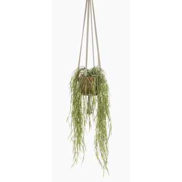 Cesto sospeso di hoya linearis artificiale MIKI, vaso in terracotta, verde, 85cm