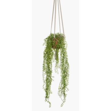 Cestino di ficus pumila artificiale AMADOR, vaso in terracotta, verde, 100cm