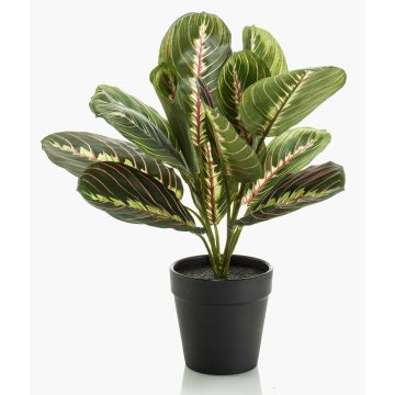 Maranta artificiale SITULA, verde-rosso, 30cm Maranta artificiale SITULA, verde-rosso, 30cm