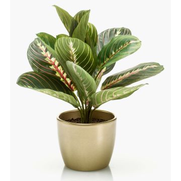 Maranta artificiale SITULA in vaso di ceramica dorato, verde-rosso, 30cm Maranta artificiale SITULA in vaso di ceramica dorato, verde-rosso, 30cm
