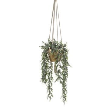 Cesto appeso di eucalipto artificiale RAMINA, vaso in ceramica dorato, verde-grigio, 75cm Cesto appeso di eucalipto artificiale RAMINA, vaso in ceramica dorato, verde-grigio, 75cm