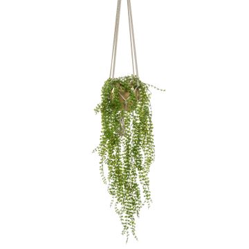 Cestino di ficus pumila artificiale AMADOR, vaso in ceramica dorato, verde, 100cm