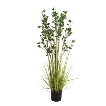 Erba artificiale di euonymus BASKO, 150cm Erba artificiale di euonymus BASKO, 150cm