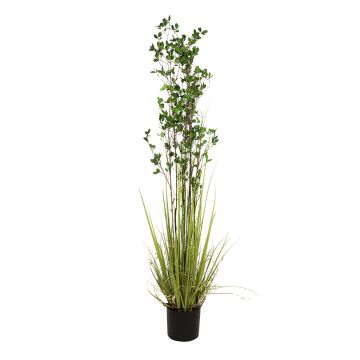 Erba artificiale di euonymus BASKO, 180cm Erba artificiale di euonymus BASKO, 180cm