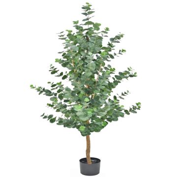 Albero di eucalipto artificiale WEONFYN, tronco artificiale, verde, 180 cm