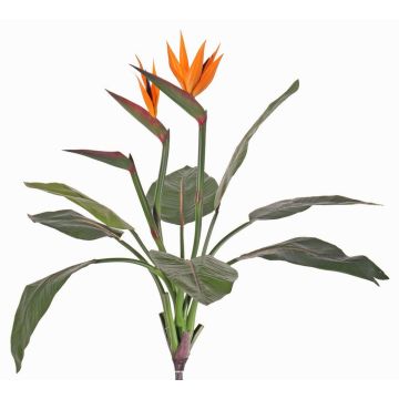 Strelitzia artificiale NUBIA su stelo, arancione-viola, 70cm, 17x22cm Strelitzia artificiale NUBIA su stelo, arancione-viola, 70cm, 17x22cm