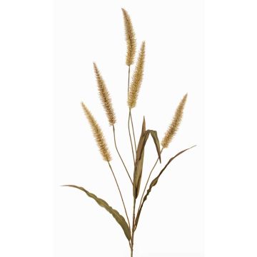 Pennisetum artificiale HIWA, pannocchie, verde, 135cm Pennisetum artificiale HIWA, pannocchie, verde, 135cm