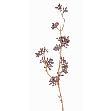 Ramo di eucalipto artificiale SOHA con frutti, marrone, 60cm Ramo di eucalipto artificiale SOHA con frutti, marrone, 60cm