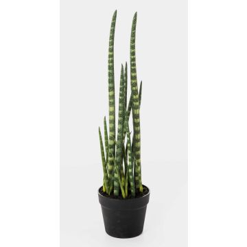 Sansevieria Cylindrica artificiale AIDANA, verde-giallo, 65cm
