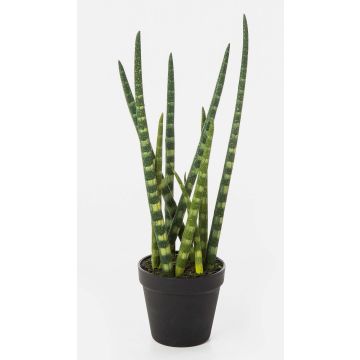 Sansevieria Cylindrica artificiale AIDANA, verde-giallo, 40cm
