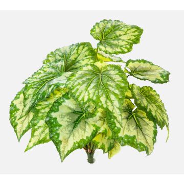 Begonia rex artificiale BEVEN su stelo, verde-giallo, 35cm
