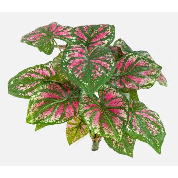 Caladium artificiale BECRUX su stelo, verde-rosa, 35cm