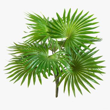 Palma Washingtonia artificiale SCHEDIR su stelo, 35cm