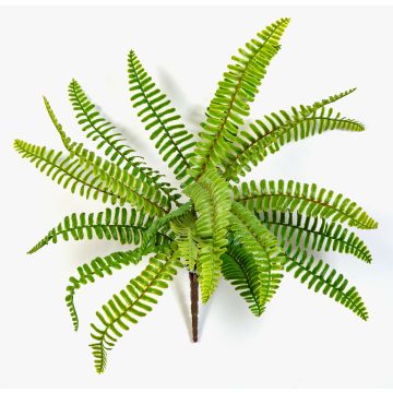 Felce artificiale di Boston DANAO su stelo, verde, 30cm, Ø40cm