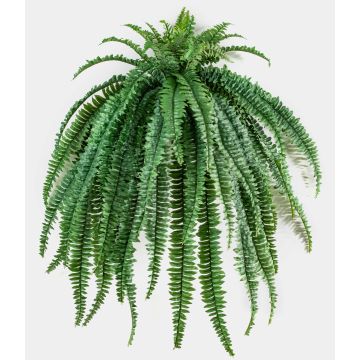 Felce di Boston decorativa pensile AQUARI su stelo, verde, 105cm Felce di Boston decorativa pensile AQUARI su stelo, verde, 105cm