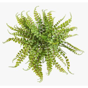 Felce a bottone decorativa IMAI su stelo, verde, 40cm, Ø50cm