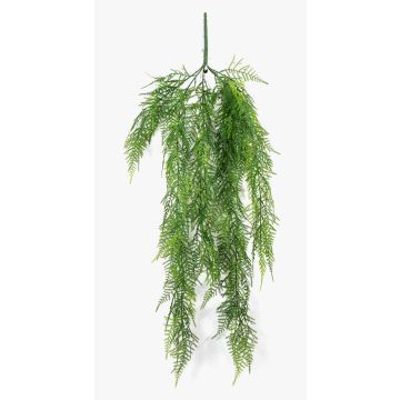 Asparagus Plumosus artificiale ALRISCHA, 75cm Asparagus Plumosus artificiale ALRISCHA, 75cm