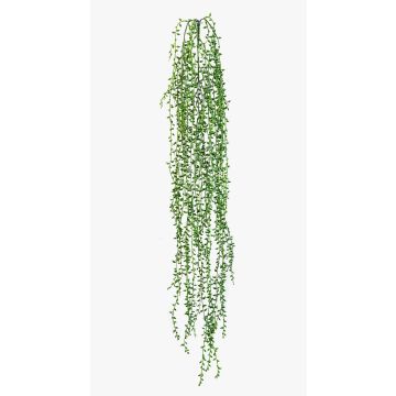 Pianta pensile di senecio artificiale FANJA su stelo, verde, 85cm Pianta pensile di senecio artificiale FANJA su stelo, verde, 85cm