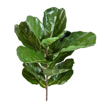 Ficus Lyrata artificiale ATIKA su stelo, verde, 75cm
