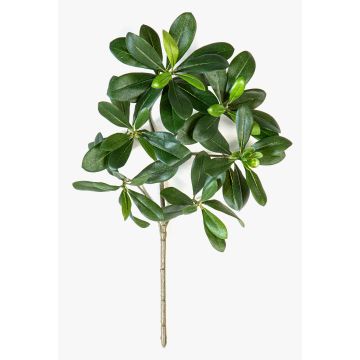 Ramo di pittosporum artificiale MASON, difficilmente infiammabile, 40cm