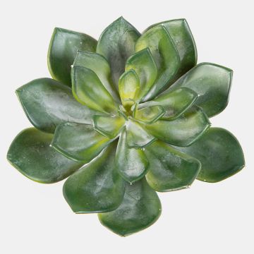 Echeveria pelusida artificiale CURSA su stelo, verde, 15cm