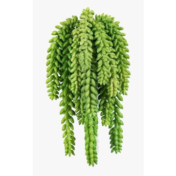 Sedum morganianum artificiale DIPHDA su stelo, difficilmente infiammabile, verde, 30cm