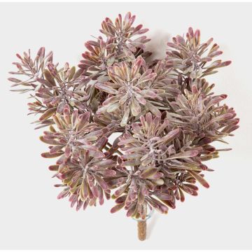 Crossostephium finto KARAHNI su stelo, bordeaux-verde, 20cm