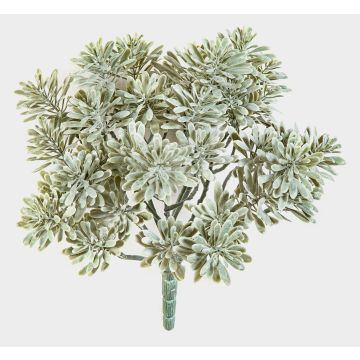 Crossostephium finto ALGOL, su stelo, zona trasversale, grigio-verde, 20cm