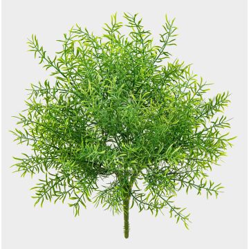 Asparagus sprengeri artificiale ERRAI su stelo, zona trasversale, 40cm