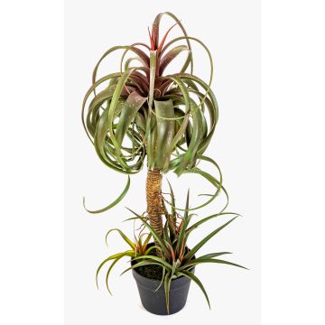Tillandsia streptophylla artificiale ELGAFAR, verde-rosso, 80cm
