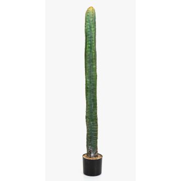 Cactus a colonna decorativo ELKURUD, verde-rosso, 140cm