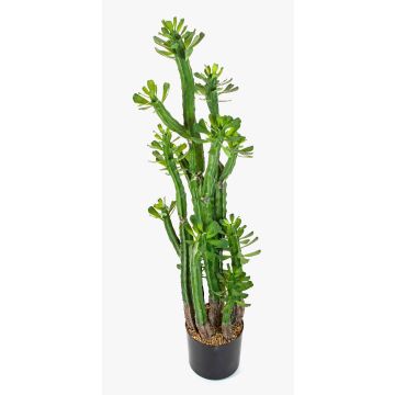 Euphorbia royleana artificiale GACRUX, verde, 120cm