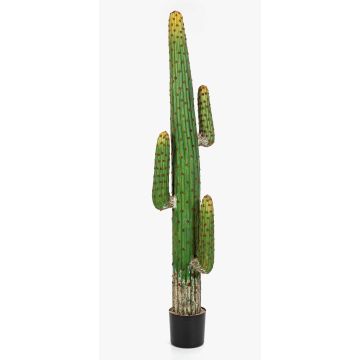 Cactus a colonna artificiale GOMEISA, verde-rosso, 170cm
