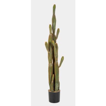 Cactus artificiale San Pedro GRUMIUM, verde-marrone, 150cm