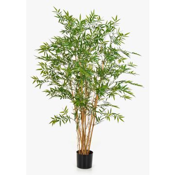 Bambù artificiale HATYSA, tronchi naturali, 150cm Bambù artificiale HATYSA, tronchi naturali, 150cm