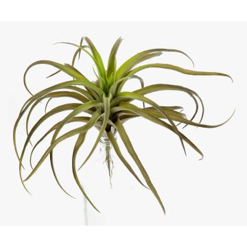 Tillandsia Stricta artificiale PROPUS su stelo, verde-marrone, 25cm