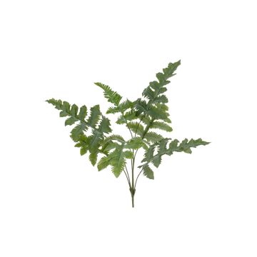 Phlebodium aureum artificiale EYMEN su stelo, verde, 65cm Phlebodium aureum artificiale EYMEN su stelo, verde, 65cm