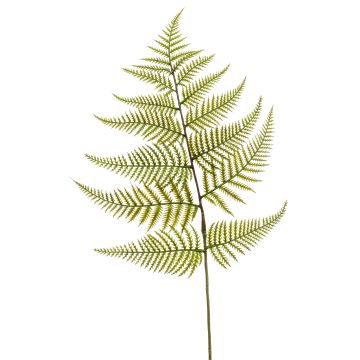 Foglia finta di felce spada MBALI, verde, 80cm