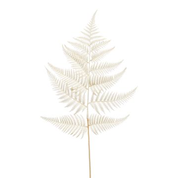 Foglia finta di felce spada MBALI, crema, 80cm Foglia finta di felce spada MBALI, crema, 80cm
