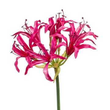 Nerine artificiale BAIMAI, fucsia, 75cm