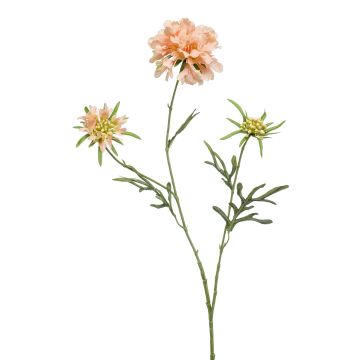 Scabiosa artificiale MARUA, pesca, 80cm