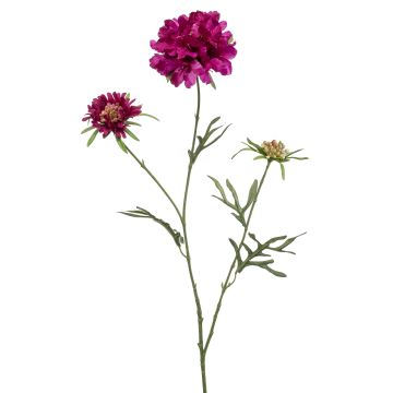 Scabiosa artificiale MARUA, viola, 80cm