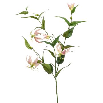 Gloriosa artificiale WARIS rosa-crema, 120cm Gloriosa artificiale WARIS rosa-crema, 120cm