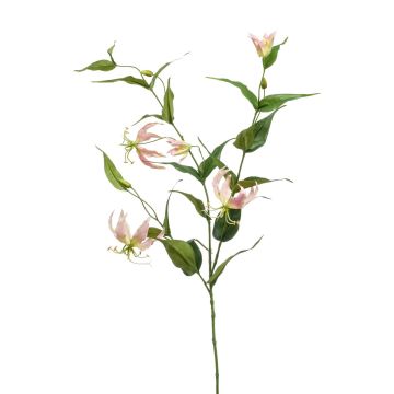 Gloriosa artificiale WARIS rosa-crema, 120cm